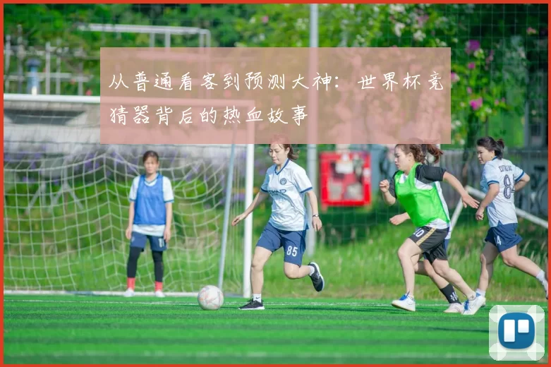 从普通看客到预测大神：世界杯竞猜器背后的热血故事