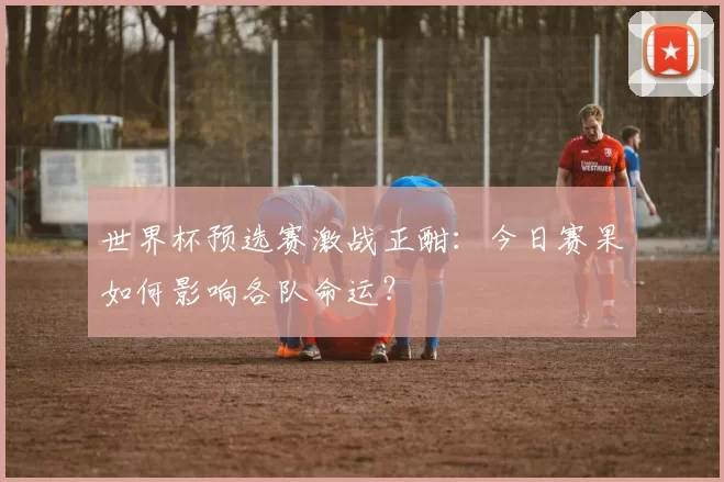 世界杯预选赛激战正酣：今日赛果如何影响各队命运？
