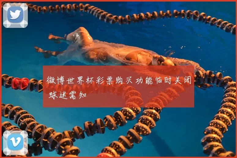 微博世界杯彩票购买功能临时关闭 球迷需知