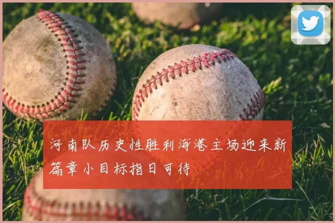 河南队历史性胜利海港主场迎来新篇章小目标指日可待