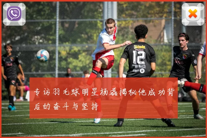 专访羽毛球明星杨磊揭秘他成功背后的奋斗与坚持