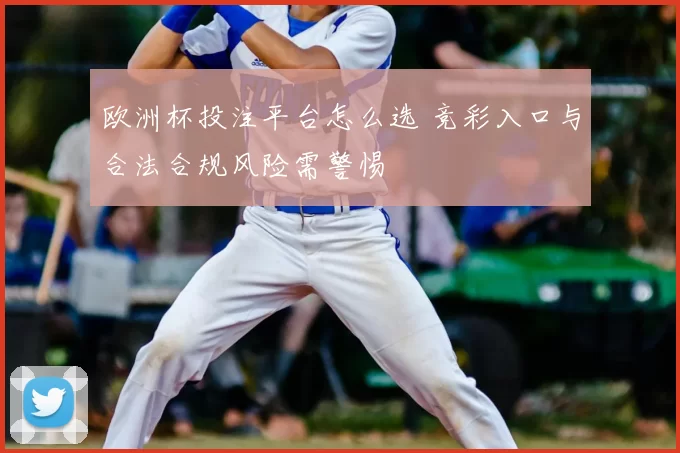 欧洲杯投注平台怎么选 竞彩入口与合法合规风险需警惕