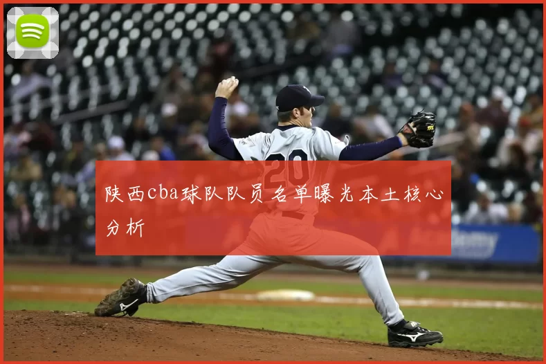 陕西cba球队队员名单曝光本土核心分析