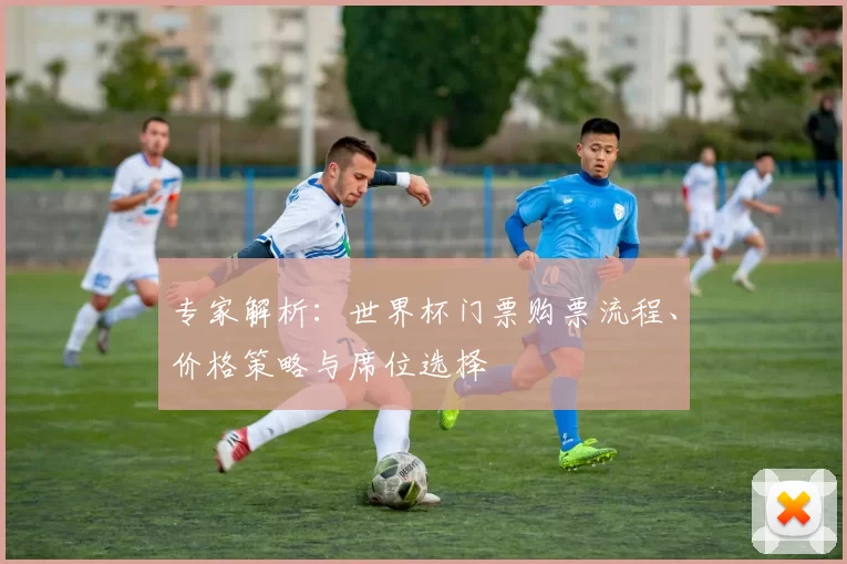 专家解析：世界杯门票购票流程、价格策略与席位选择