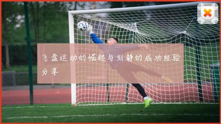 飞盘运动的崛起与刘静的成功经验分享