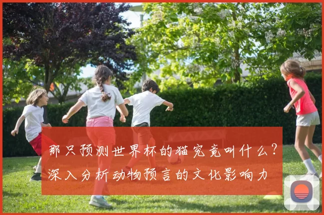 那只预测世界杯的猫究竟叫什么?深入分析动物预言的文化影响力