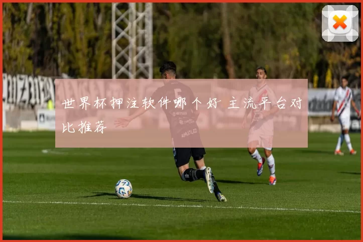 世界杯押注软件哪个好 主流平台对比推荐
